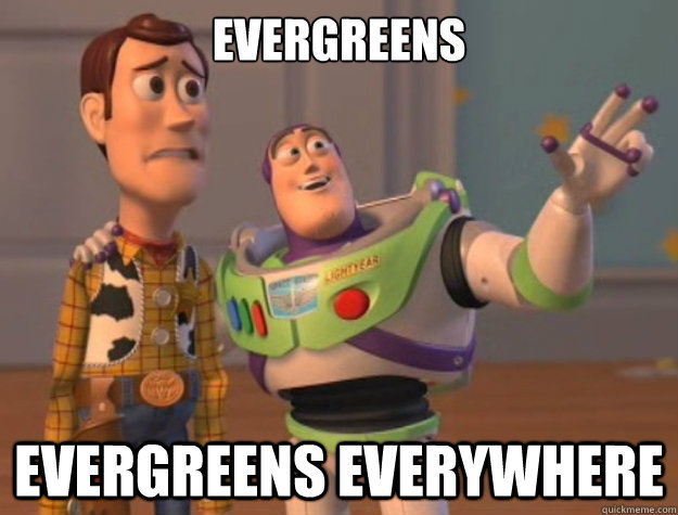evergreens evergreens everywhere - evergreens evergreens everywhere  Buzz Lightyear