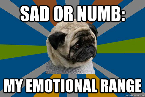 SAD or numb: my emotional range  Clinically Depressed Pug