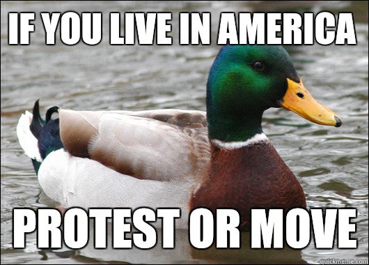 IF YOU LIVE IN AMERICA PROTEST OR MOVE  Actual Advice Mallard