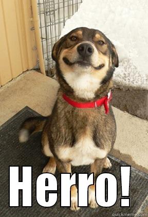  HERRO! Good Dog Greg