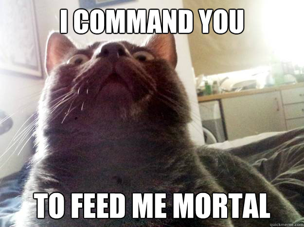 I command you To feed me mortal - I command you To feed me mortal  Misc