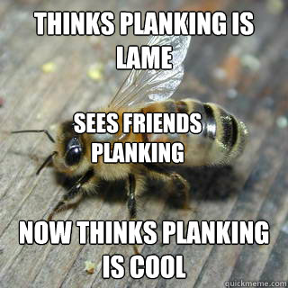 Thinks planking is lame now thinks planking is cool sees friends planking  Hivemind bee