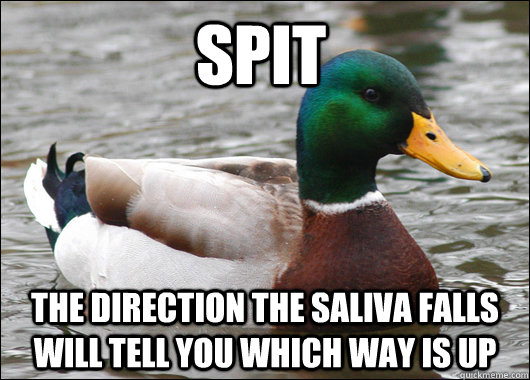 Spit the direction the saliva falls will tell you which way is up  Actual Advice Mallard