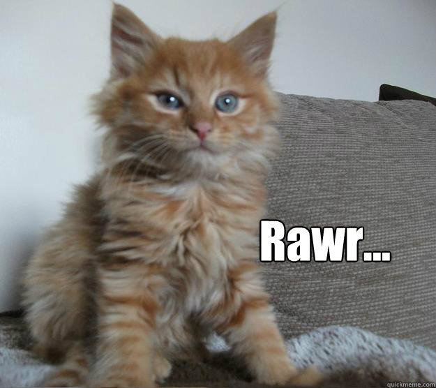 Rawr... - Rawr...  Charlie Cat