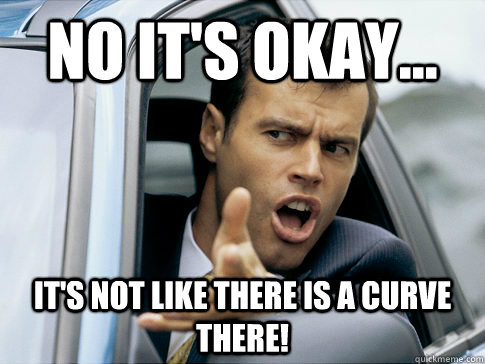 No it's okay... It's not like there is a curve there!  Asshole driver