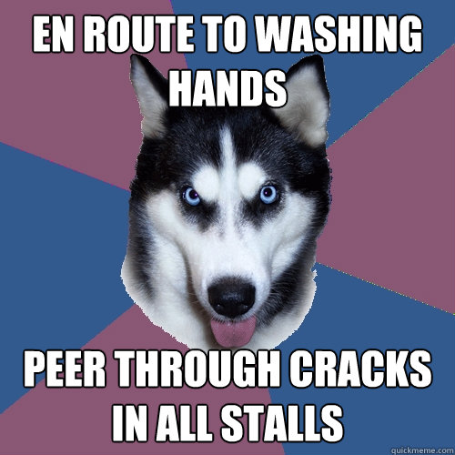 en route to washing hands peer through cracks in all stalls  Creeper Canine