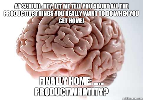 At school: Hey, let me tell you about all the productive things you really want to do when you get home! Finally home: ...... Productwhatity?  Scumbag Brain