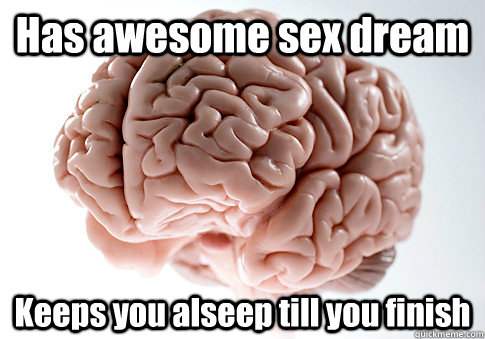 Has awesome sex dream Keeps you alseep till you finish  Scumbag Brain