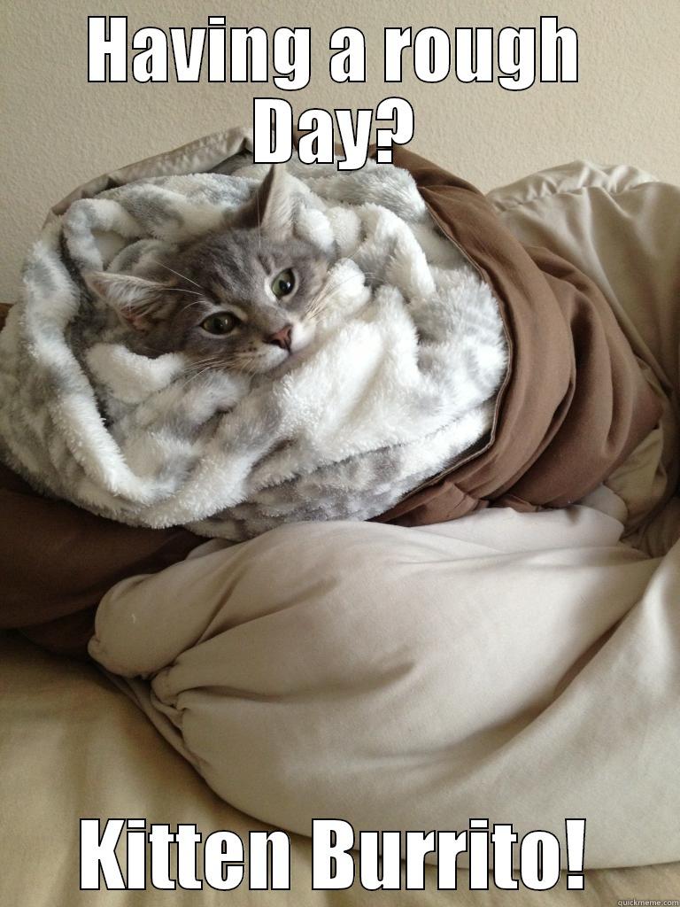 HAVING A ROUGH DAY? KITTEN BURRITO! Misc