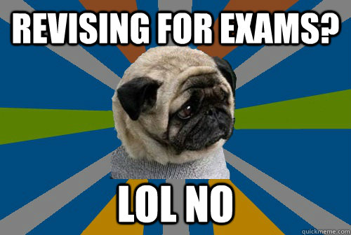 revising for exams? lol no - revising for exams? lol no  Clinically Depressed Pug