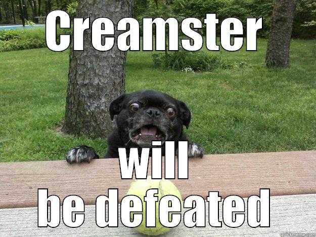 Creamster 2014 - CREAMSTER WILL BE DEFEATED Berks Dog