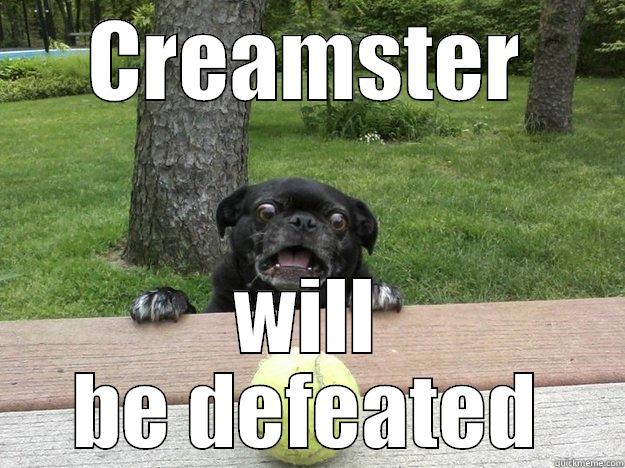 CREAMSTER WILL BE DEFEATED Berks Dog