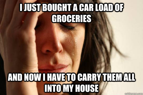 I just bought a car load of groceries and now I have to carry them all into my house - I just bought a car load of groceries and now I have to carry them all into my house  First World Problems