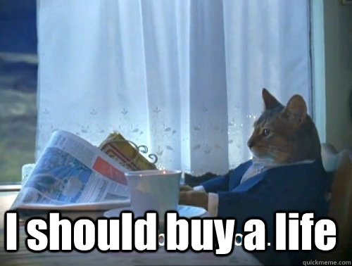  I should buy a life  Rich cat is rich