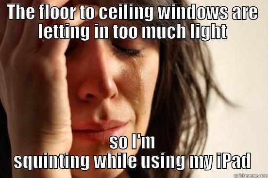 THE FLOOR TO CEILING WINDOWS ARE LETTING IN TOO MUCH LIGHT SO I'M SQUINTING WHILE USING MY IPAD First World Problems