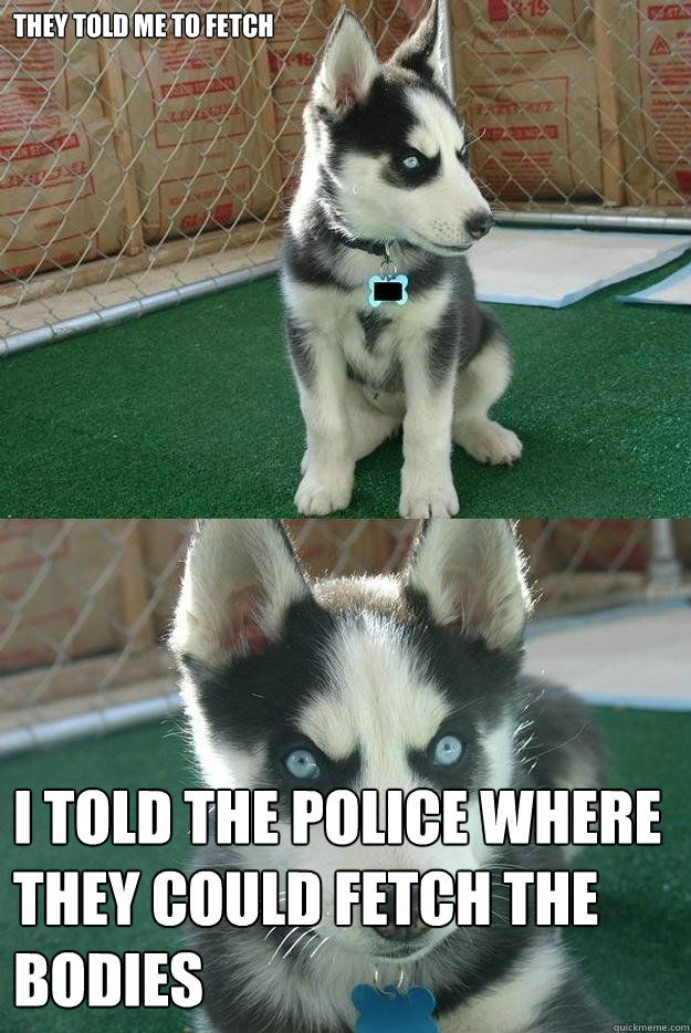 They told me to fetch I told the police where they could fetch the bodies  Insanity puppy