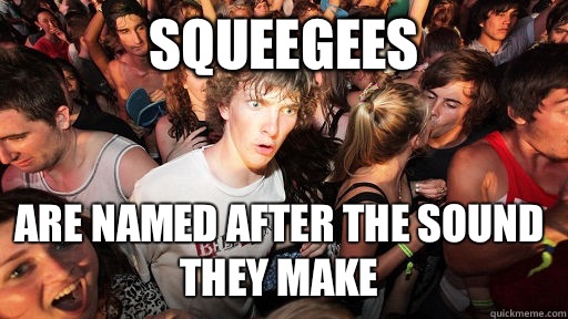 Squeegees Are named after the sound they make    Sudden Clarity Clarence