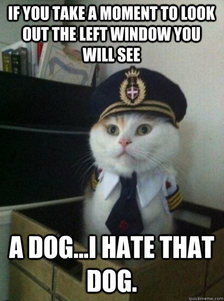If you take a moment to look out the left window you will see A dog...I hate that dog.  Captain kitteh