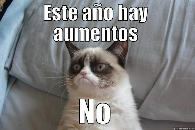 ESTE AÑO HAY AUMENTOS NO Grumpy Cat
