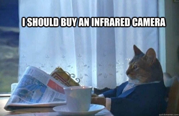 I should buy an infrared camera  Sophisticated Cat