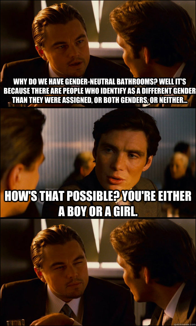 Why do we have gender-neutral bathrooms? Well it's because there are people who identify as a different gender than they were assigned, or both genders, or neither... How's that possible? you're either a boy or a girl.   Inception