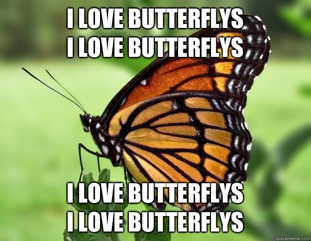 I love butterflys                            I love butterflys I love butterflys                                 I love butterflys  cool butterfly