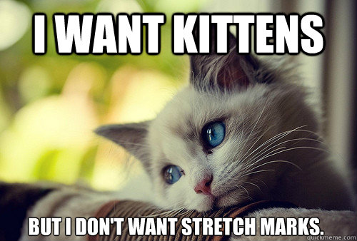 I want kittens But I don't want stretch marks.  First World Problems Cat
