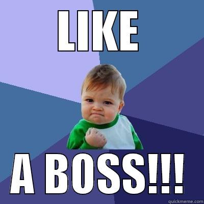 LIKE A BOSS!!! - LIKE A BOSS!!! Success Kid