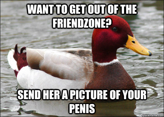 want to get out of the friendzone? send her a picture of your penis  Malicious Advice Mallard