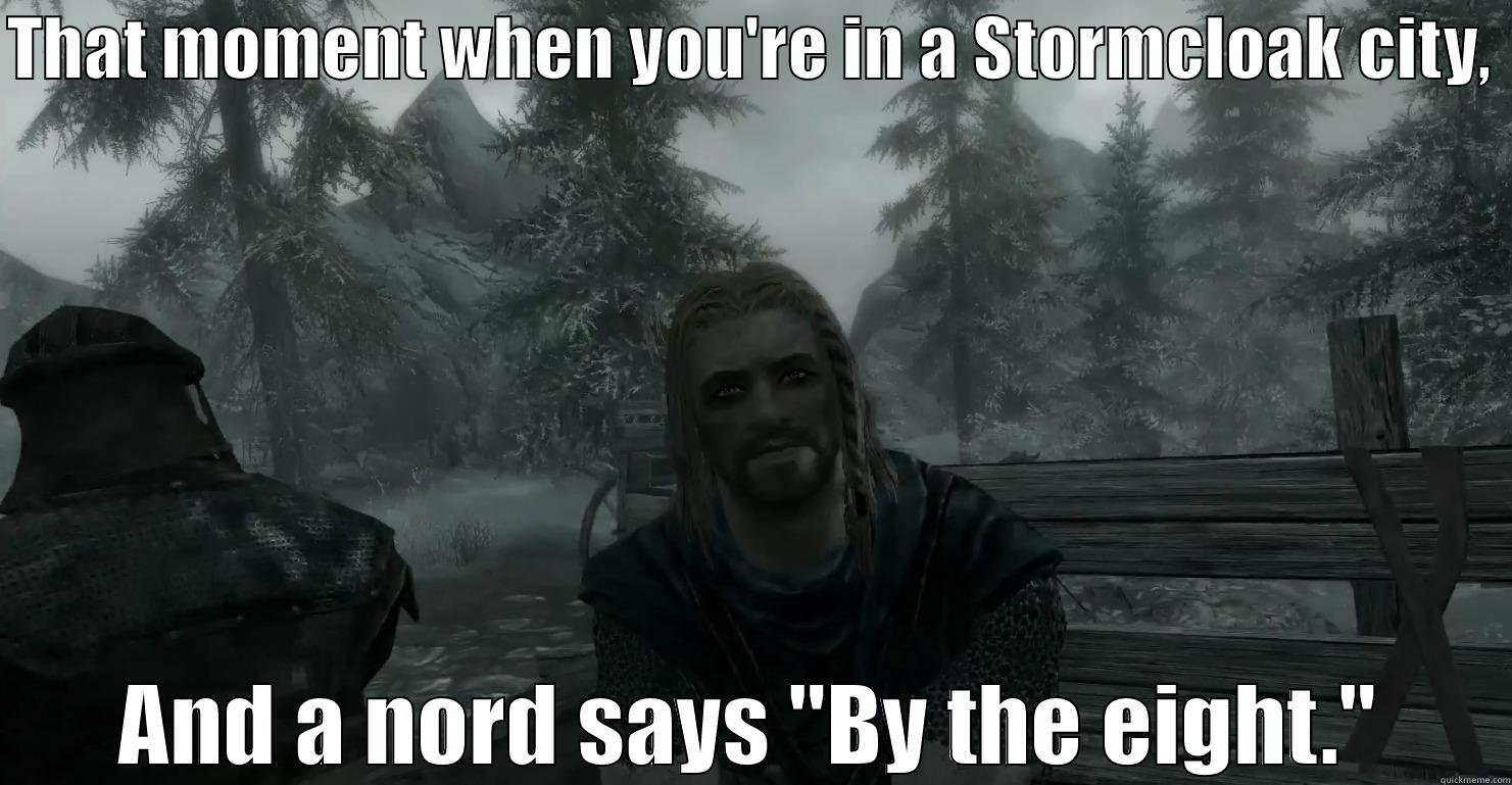 THAT MOMENT WHEN YOU'RE IN A STORMCLOAK CITY,  AND A NORD SAYS 