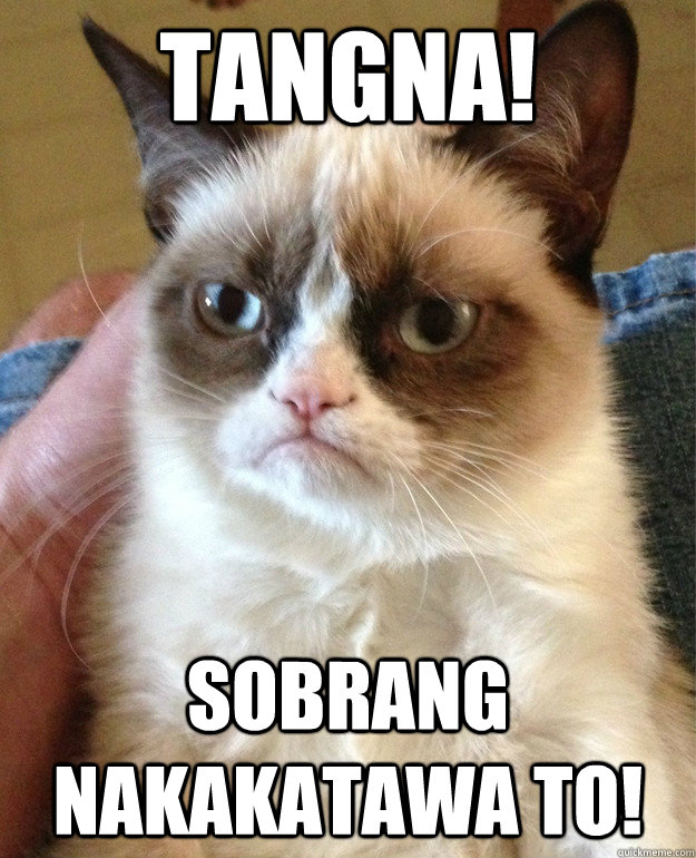 tangna! sobrang nakakatawa to!  Grumpy Cat