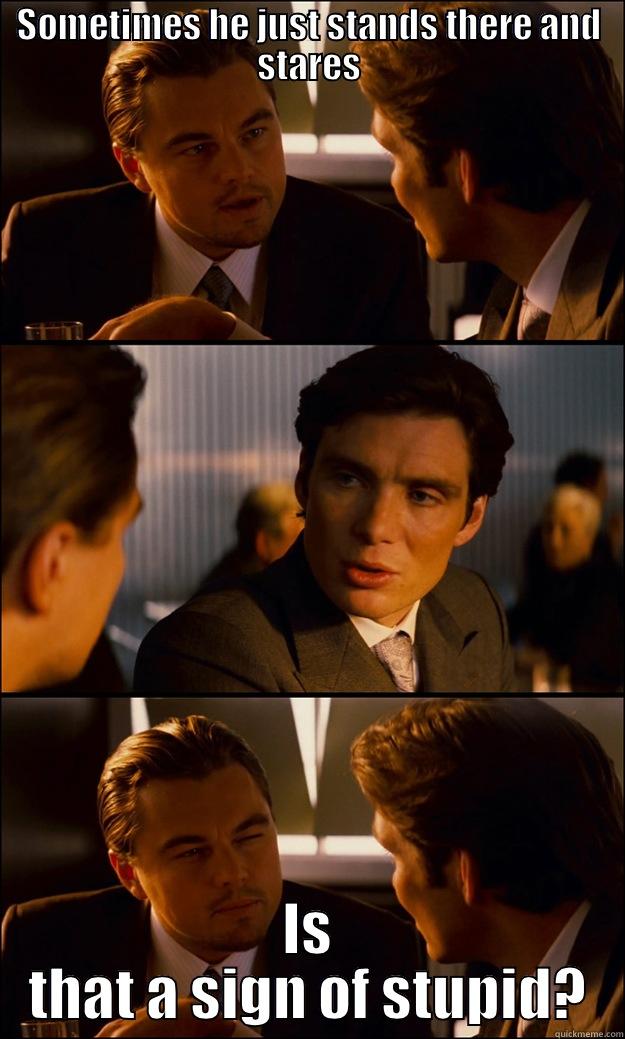SOMETIMES HE JUST STANDS THERE AND STARES IS THAT A SIGN OF STUPID? Inception