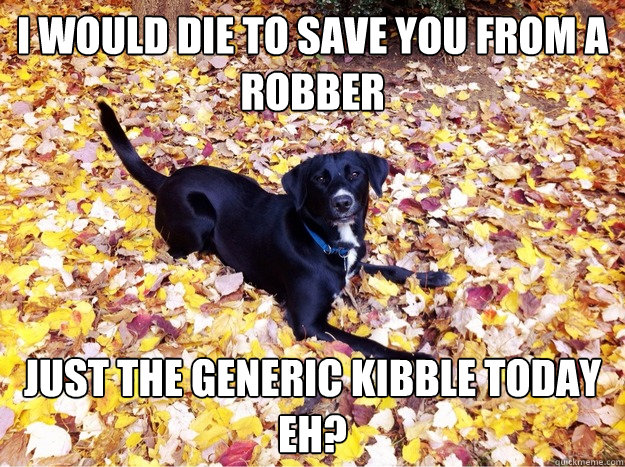 I would die to save you from a robber just the generic kibble today eh?  Guilt Giving Good Dog
