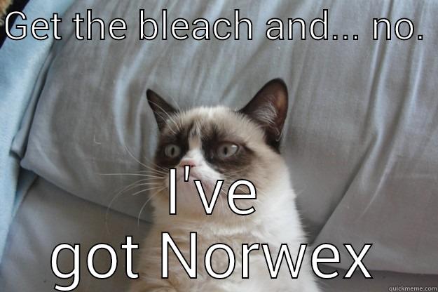GET THE BLEACH AND... NO.  I'VE GOT NORWEX Grumpy Cat