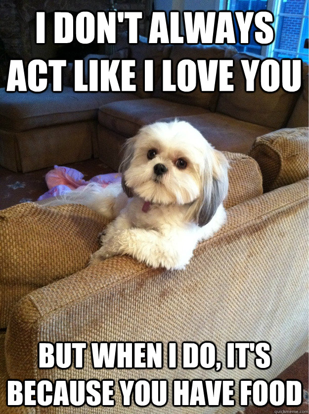 I don't always act like i love you but when i do, it's because you have food - I don't always act like i love you but when i do, it's because you have food  Misc