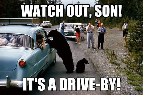 watch out, son! It's a drive-by!
 - watch out, son! It's a drive-by!
  Ghetto bear