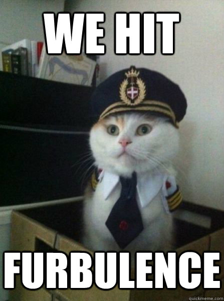 WE HIT FURBULENCE  Captain kitteh