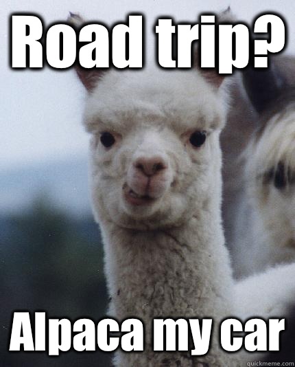 Road trip? Alpaca my car  ALPACA