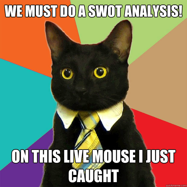 we must do a swot analysis! on this live mouse I just caught  Business Cat