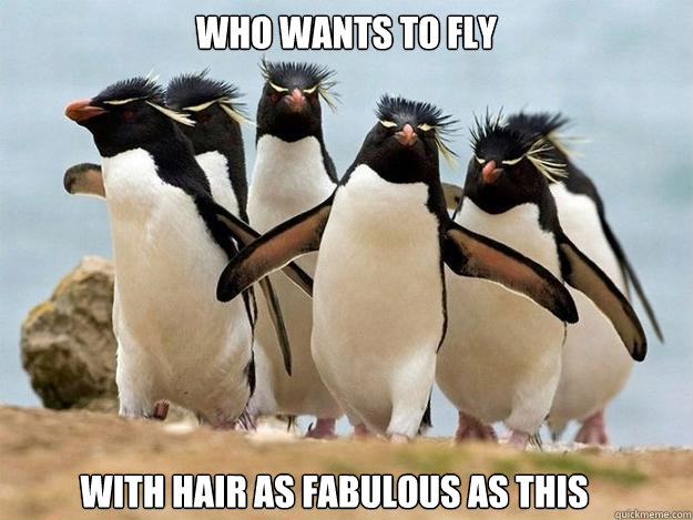 WHO WANTS TO FLY WITH HAIR AS FABULOUS AS THIS  