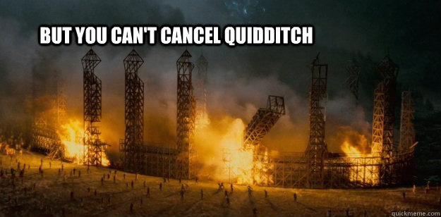 But you can't cancel quidditch  Oliver Wood in despair