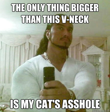 The Only Thing bigger than this v-neck is my cat's asshole  Guido Jesus