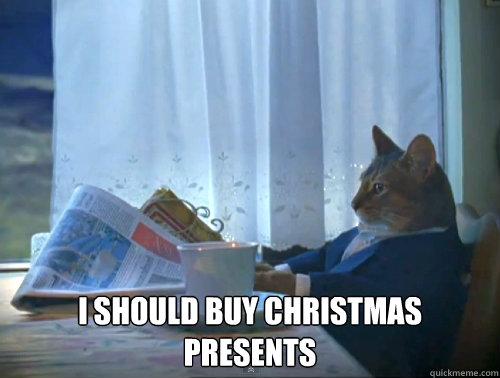  I should buy christmas presents  The One Percent Cat