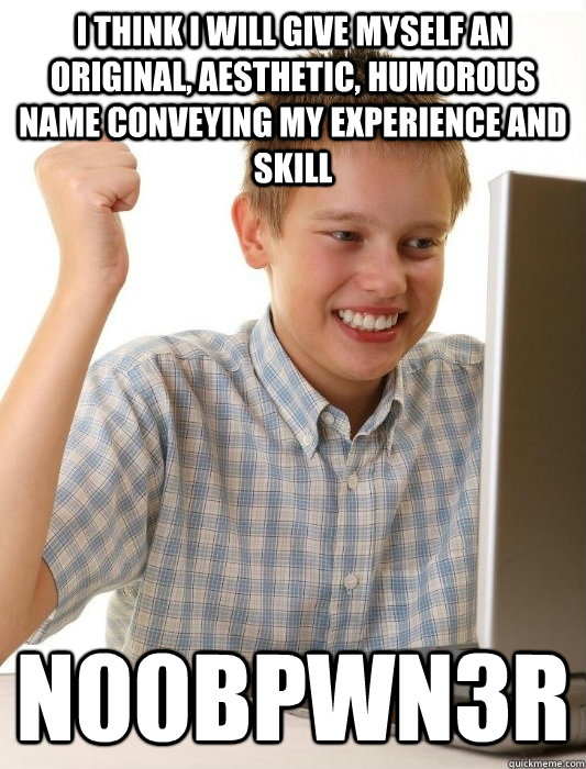 I think I will give myself an original, aesthetic, humorous name conveying my experience and skill n00bpwn3r  First Day on the Internet Kid