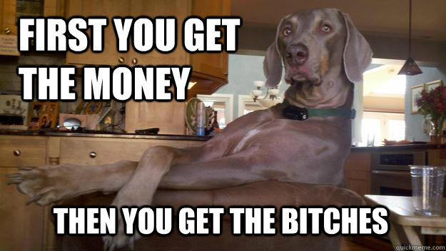 First you get the money Then you get the bitches - First you get the money Then you get the bitches  Successful Dog
