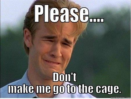        PLEASE….      DON'T MAKE ME GO TO THE CAGE. 1990s Problems