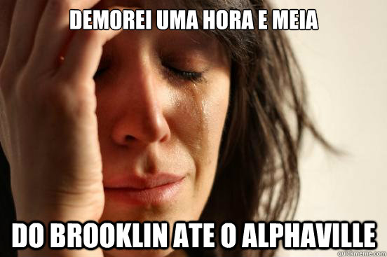 Demorei UMA HORA E MEIA DO BROOKLIN ATE O ALPHAVILLE  First World Problems
