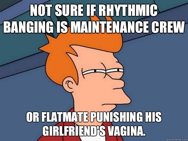 Not sure if rhythmic banging is maintenance crew Or flatmate punishing his girlfriend's vagina.  Futurama Fry