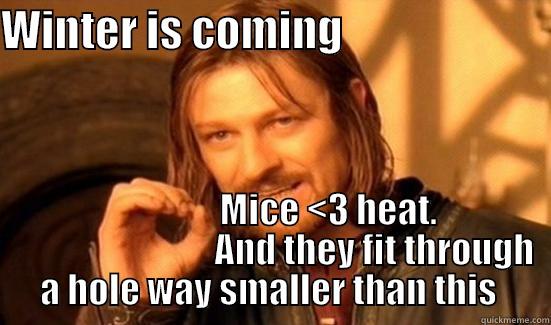 WINTER IS COMING                                         MICE <3 HEAT.                              AND THEY FIT THROUGH A HOLE WAY SMALLER THAN THIS  Boromir
