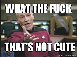 What the fuck That's not cute  Annoyed Picard